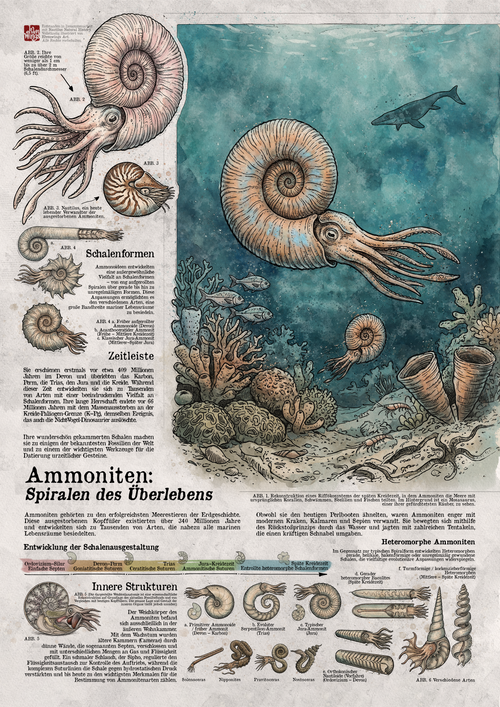 Ammoniten: Meister der prähistorischen Meere – Wissenschaftsposter