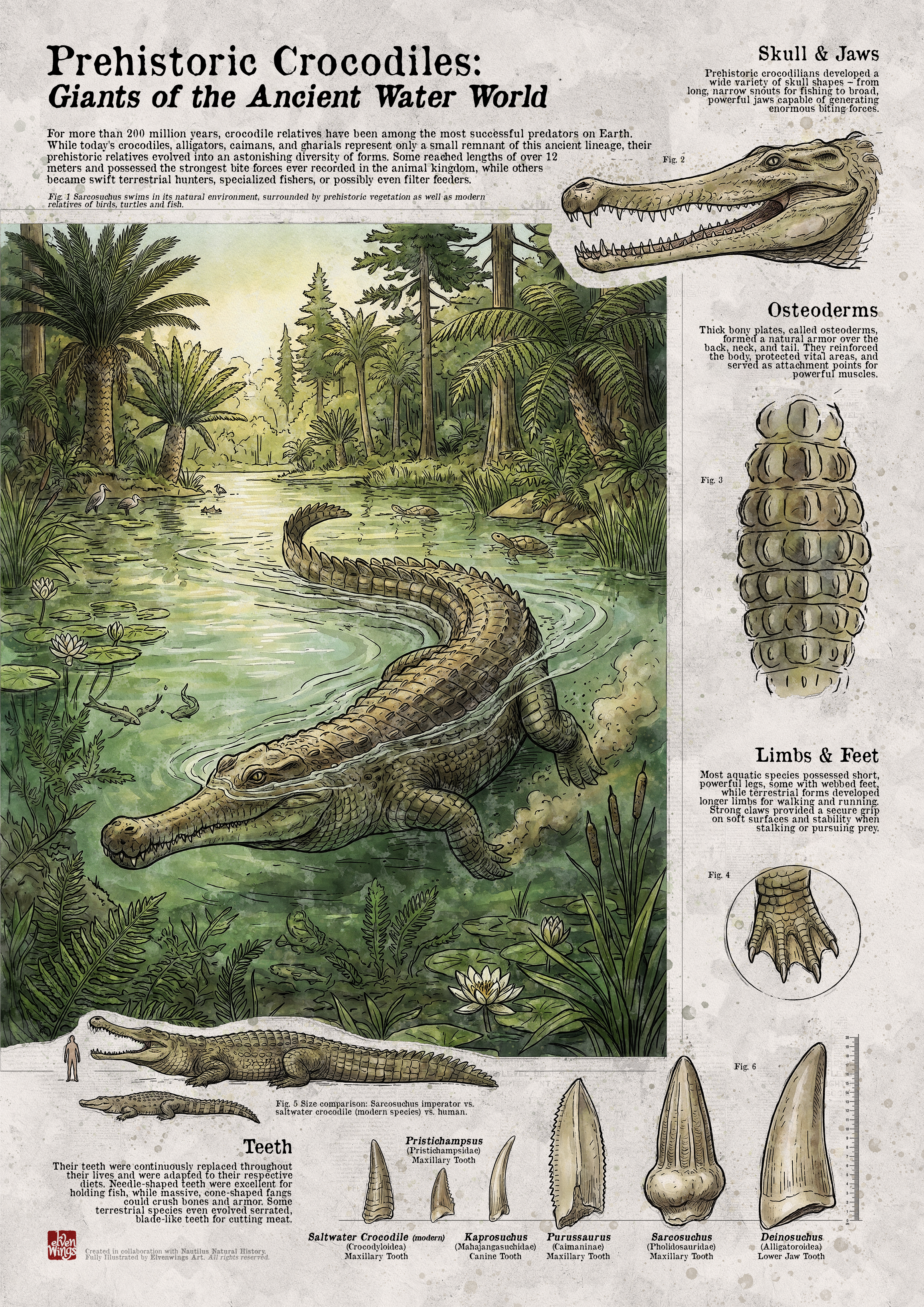 Urzeit-Krokodile: Giganten der prähistorischen Wasserwelt – Wissenschaftsposter