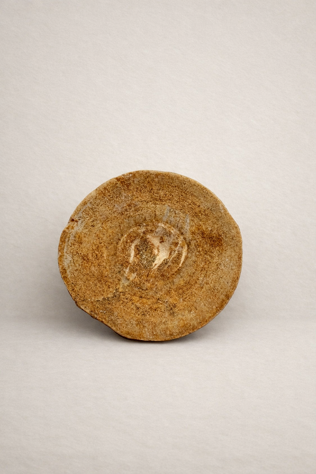 Otodus Vertebra – Original fossil vertebra of the prehistoric shark