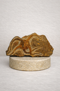 Fossilized Starfish – Original Fossil from Prehistoric Times