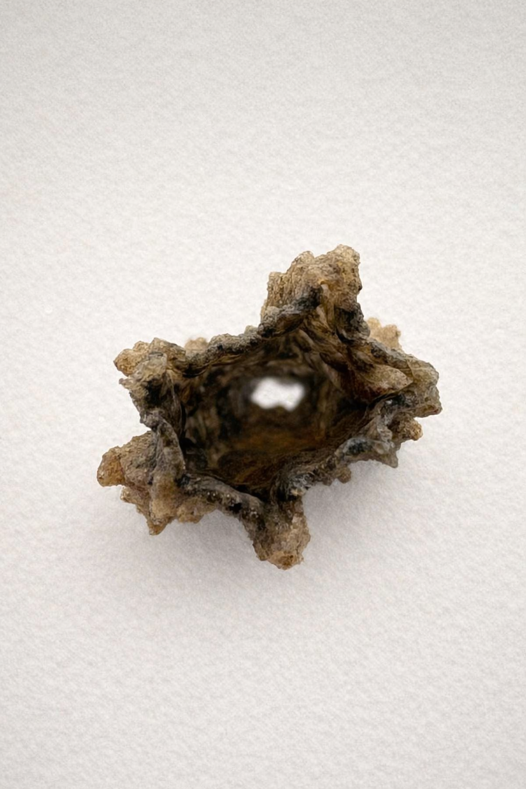 Fulgurite – A Natural Wonder Formed by Lightning - 19.73g
