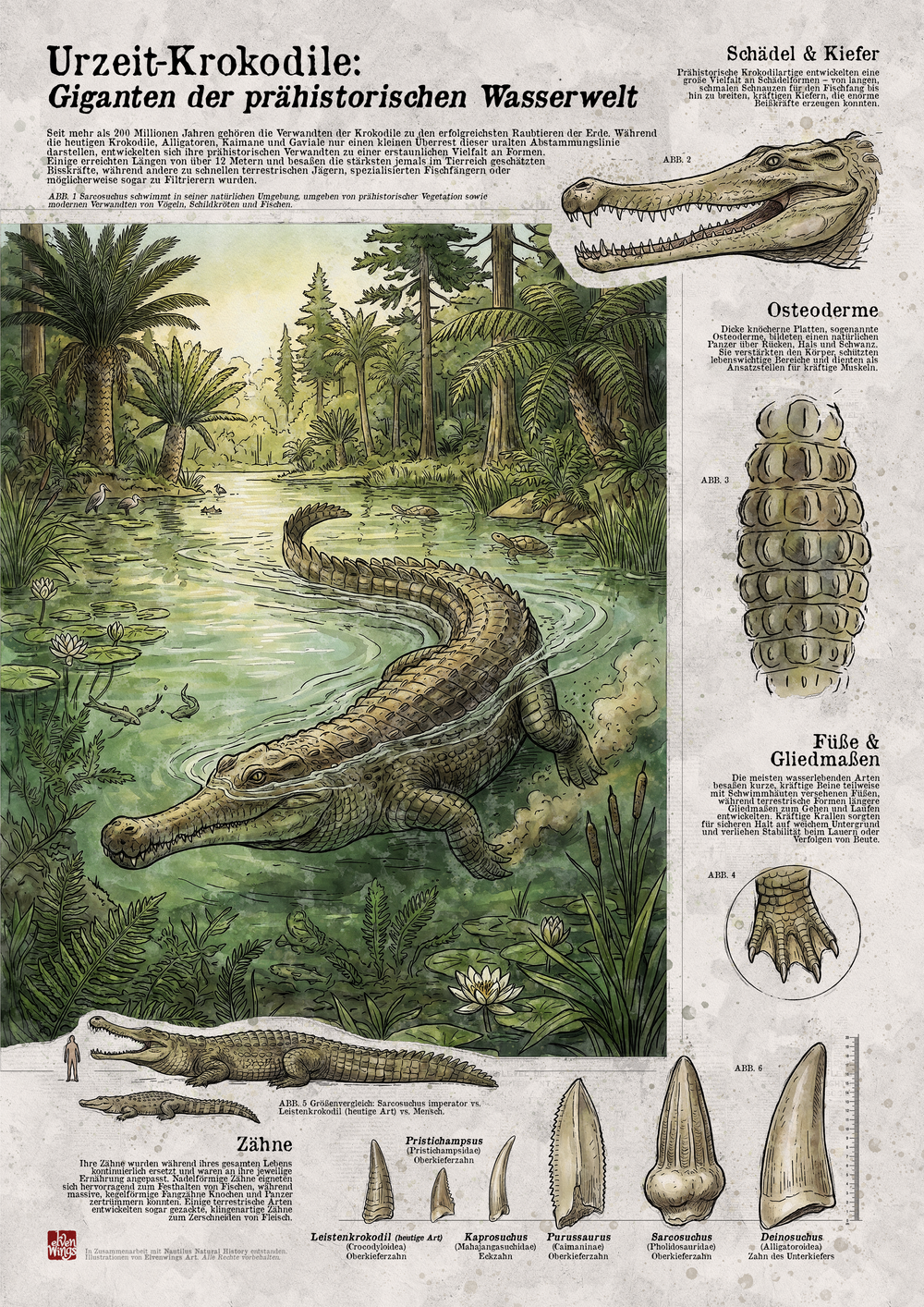 Urzeit-Krokodile Wissenschaftsposter – Giganten der prähistorischen Wasserwelt